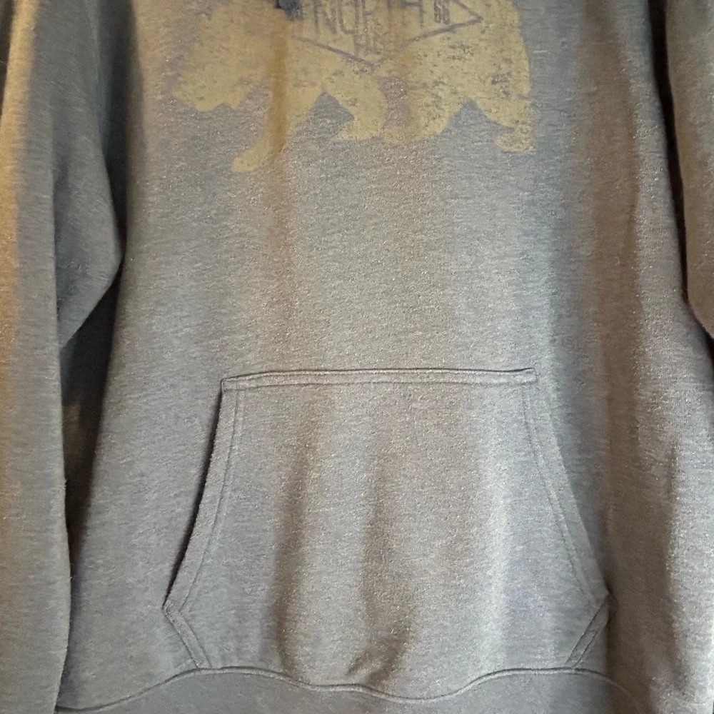 The North Face Mens Large Gray Hoodie Bear Graphic Pullover Sweatshirt